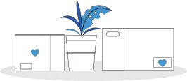 Plantas y cajas